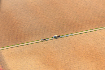Covered wagon ride with horses in Herxheim bei Landau in the state Rhineland-Palatinate, Germany