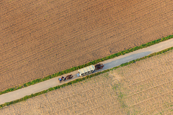 Aerial view of Covered wagon ride with horses in Herxheim bei Landau in the state Rhineland-Palatinate, Germany