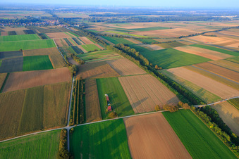 Model airfield of the model flying club Freckenfeld eV from southwest in Freckenfeld in the state Rhineland-Palatinate, Germany seen from above