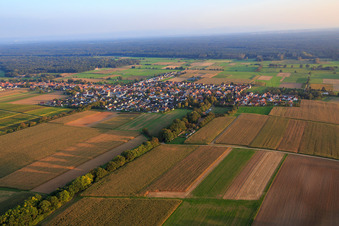 Village overview from the west in Freckenfeld in the state Rhineland-Palatinate, Germany