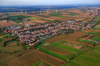Oblique view of Village overview from the southwest in Minfeld in the state Rhineland-Palatinate, Germany