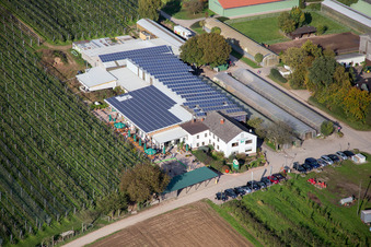Tables and benches of open-air cafe Zapf Hofmarkt and farm cafe in Kandel in the state Rhineland-Palatinate, Germany