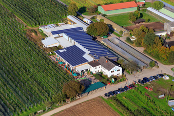 Oblique view of Zapf farm market, fruit and asparagus farm, Zapf farm café in Kandel in the state Rhineland-Palatinate, Germany