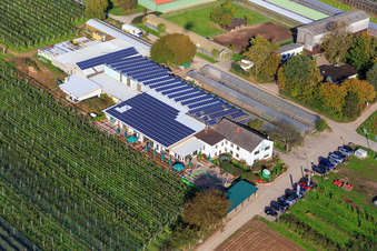 Zapf farm market, fruit and asparagus farm, Zapf farm café in Kandel in the state Rhineland-Palatinate, Germany from above