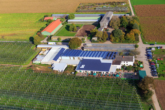 Zapf farm market, fruit and asparagus farm, Zapf farm café in Kandel in the state Rhineland-Palatinate, Germany seen from above