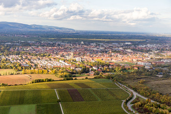 Town View of the streets and houses of the residential areas in Landau in der Pfalz in the state Rhineland-Palatinate, Germany