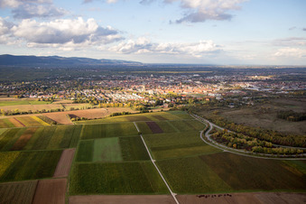 West of the Ebenberg in Landau in der Pfalz in the state Rhineland-Palatinate, Germany
