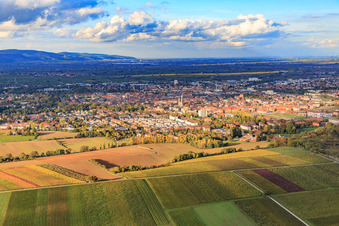City view from the south in Landau in der Pfalz in the state Rhineland-Palatinate, Germany