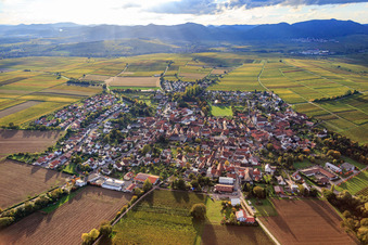 View of the town between autumnal vineyards from the east in the district Mörzheim in Landau in der Pfalz in the state Rhineland-Palatinate, Germany