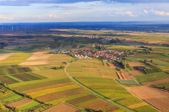 View of the village between autumnal vineyards from the west in Impflingen in the state Rhineland-Palatinate, Germany