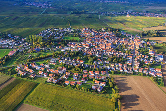 Overview of the village between autumnal vineyards from the south in the district Mörzheim in Landau in der Pfalz in the state Rhineland-Palatinate, Germany