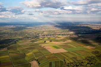 Aerial view of From the south in the district Billigheim in Billigheim-Ingenheim in the state Rhineland-Palatinate, Germany