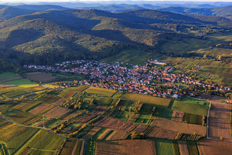 Aerial view of Village view between autumnal vineyards from the south in Oberotterbach in the state Rhineland-Palatinate, Germany