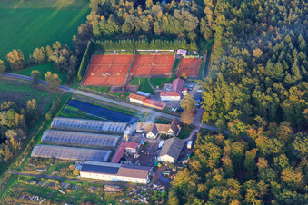 Waldhof Frey on the edge of the Bienwald and tennis courts in Steinfeld in the state Rhineland-Palatinate, Germany