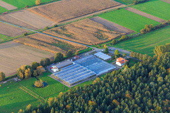 Greenhouses of the Cactus Land Steinfeld on the edge of the Bee Forest in Steinfeld in the state Rhineland-Palatinate, Germany
