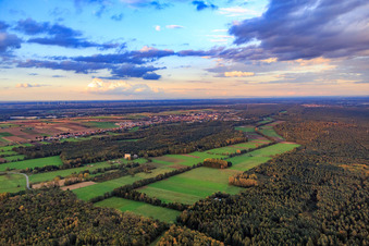 Mown meadows in the Otterbach lowlands in Minfeld in the state Rhineland-Palatinate, Germany