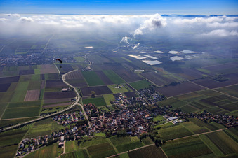View of the village surrounded by autumnal vineyards from the east in Monsheim in the state Rhineland-Palatinate, Germany