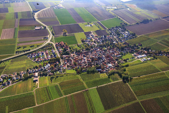 Aerial view of View of the village surrounded by autumnal vineyards from the east in Monsheim in the state Rhineland-Palatinate, Germany