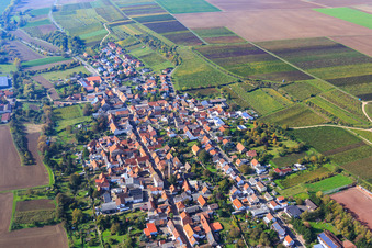 Aerial view of View of the village below autumnal vineyards from the east in Kindenheim in the state Rhineland-Palatinate, Germany