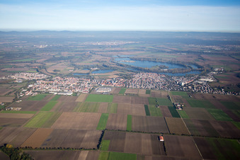 Aerial view of District Roxheim in Bobenheim-Roxheim in the state Rhineland-Palatinate, Germany