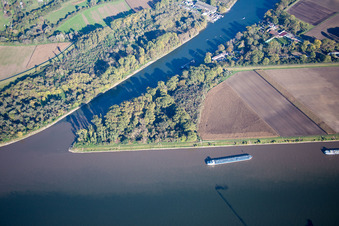 Friesenheim Old Rhine in the district Neckarstadt-West in Mannheim in the state Baden-Wuerttemberg, Germany