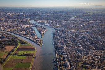 Aerial view of Mühlauhafen and Neckar estuary in the district Innenstadt in Mannheim in the state Baden-Wuerttemberg, Germany