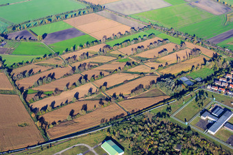 Rectangular fields bordered by rows of bushes at the Bruchgraben in the district Sandhofen in Mannheim in the state Baden-Wuerttemberg, Germany