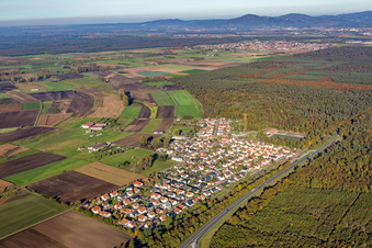 Aerial view of District Riedrode in Bürstadt in the state Hesse, Germany