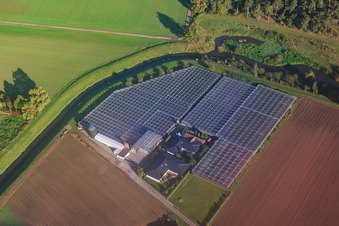 Horticultural business at Weschnitzbogen An der Wattenheimer Brück in Lorsch in the state Hesse, Germany