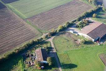 Aerial photograpy of Bürstadt in the state Hesse, Germany