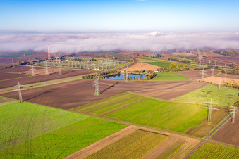 Aerial view of Amprion GmbH - Substation in the district Rosengarten in Lampertheim in the state Hesse, Germany