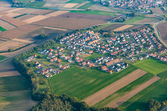 Drone recording of District Hardtwald in Neupotz in the state Rhineland-Palatinate, Germany