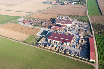 KOCHER Sawmill and Palletizing Plant Site in Niederrœdern in the state Bas-Rhin, France