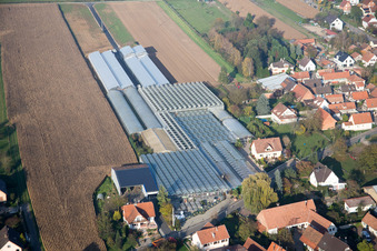 Drone image of Niederrœdern in the state Bas-Rhin, France