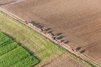 Group of riders on a path in Wintzenbach in Grand Est, France