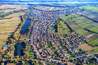 Village view at Tankgraben from the west in Neuburg am Rhein in the state Rhineland-Palatinate, Germany