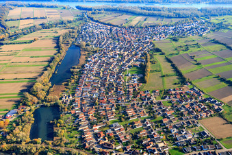 Aerial view of Village view at Tankgraben from the west in Neuburg am Rhein in the state Rhineland-Palatinate, Germany