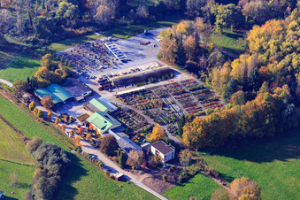 Bienwald Nursery and GREENTEC GmbH GbR in Berg in the state Rhineland-Palatinate, Germany
