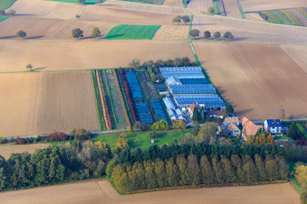 Nursery in Vollmersweiler in the state Rhineland-Palatinate, Germany