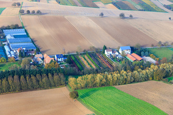 Aerial view of Nursery in Vollmersweiler in the state Rhineland-Palatinate, Germany