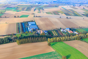 Aerial photograpy of Nursery in Vollmersweiler in the state Rhineland-Palatinate, Germany