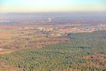 City view behind the forest in Rülzheim in the state Rhineland-Palatinate, Germany