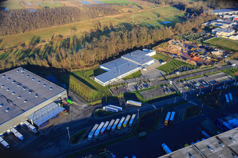 Oblique view of Horst Industrial Estate, Alfa Aesar GmbH in the district Minderslachen in Kandel in the state Rhineland-Palatinate, Germany