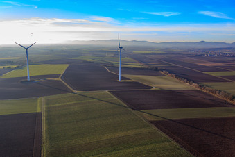 Minfeld wind farm in Minfeld in the state Rhineland-Palatinate, Germany from a drone