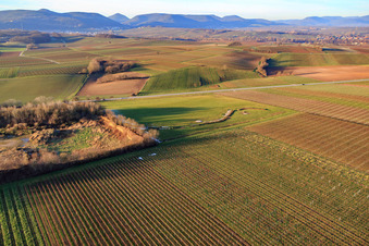 Aerial photograpy of B38 and meadow at the recycling center of the Southern Wine Route Recycling Center in the district Ingenheim in Billigheim-Ingenheim in the state Rhineland-Palatinate, Germany
