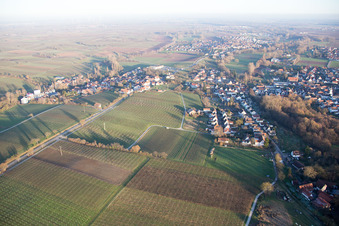 District Ingenheim in Billigheim-Ingenheim in the state Rhineland-Palatinate, Germany viewn from the air