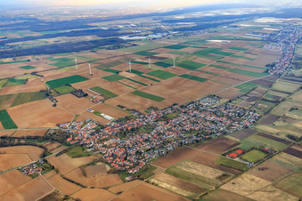 Oblique view of Village overview in winter from the southwest in Minfeld in the state Rhineland-Palatinate, Germany