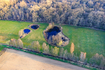 Biotope at Altbach in winter in the district Minderslachen in Kandel in the state Rhineland-Palatinate, Germany from above