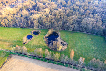 Biotope at Altbach in winter in the district Minderslachen in Kandel in the state Rhineland-Palatinate, Germany out of the air
