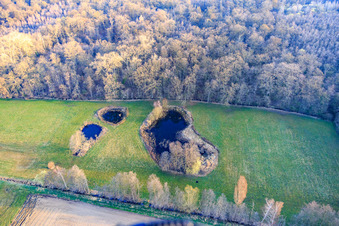 Biotope at Altbach in winter in the district Minderslachen in Kandel in the state Rhineland-Palatinate, Germany seen from above
